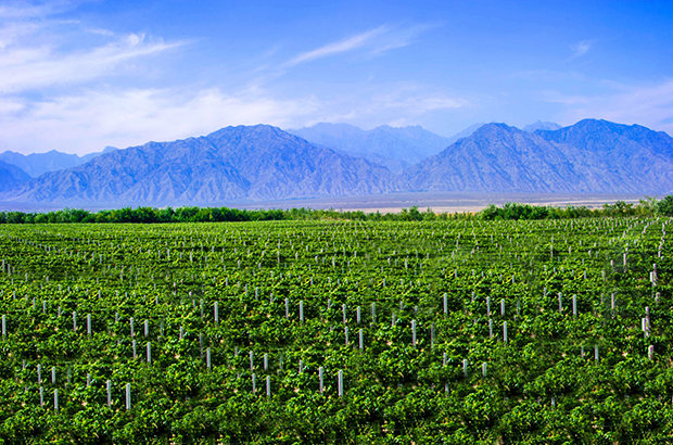 image005.png image005.png