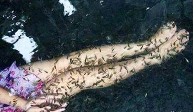 image019.jpg image019.jpg