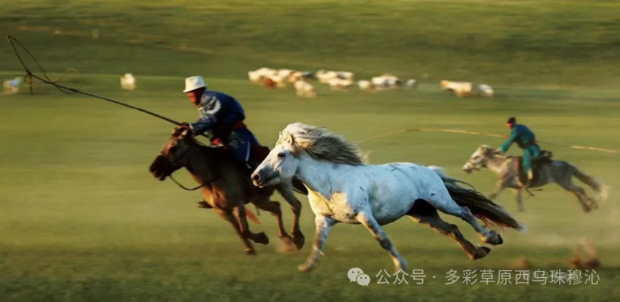 640 (12).jpg 640 (12).jpg