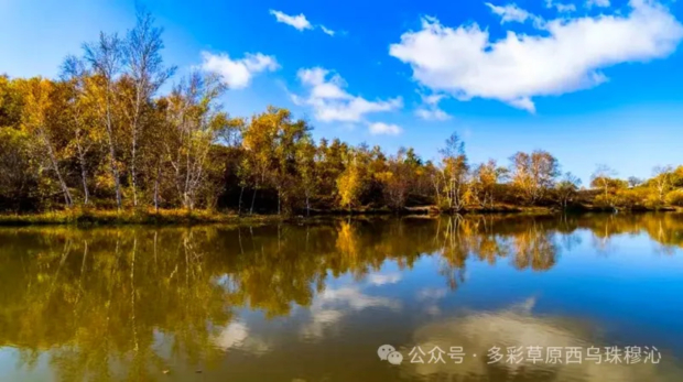 640 (17).jpg 640 (17).jpg